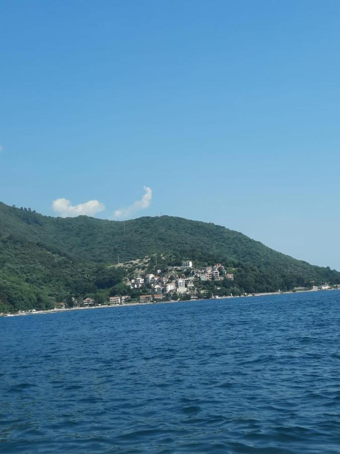 Apartment Aqua Herceg Novi Dış mekan fotoğraf